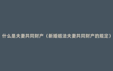 什么是夫妻共同财产（新婚姻法夫妻共同财产的规定）