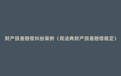 财产损害赔偿纠纷案例（民法典财产损害赔偿规定）