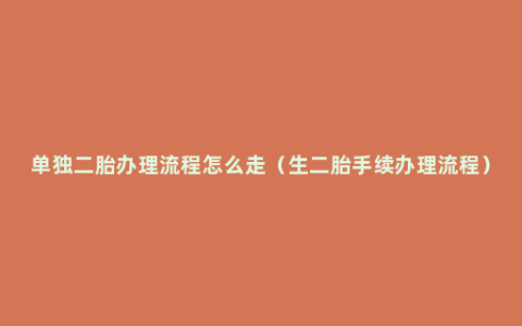 单独二胎办理流程怎么走（生二胎手续办理流程）