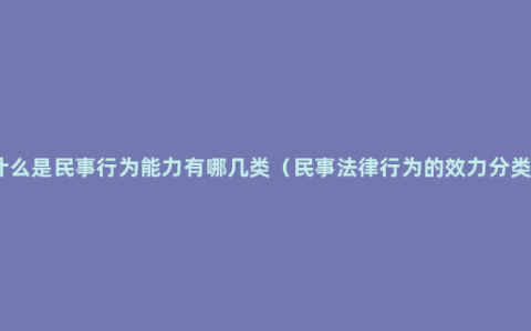 什么是民事行为能力有哪几类（民事法律行为的效力分类）