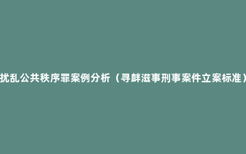 扰乱公共秩序罪案例分析（寻衅滋事刑事案件立案标准）