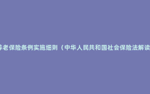 养老保险条例实施细则（中华人民共和国社会保险法解读）