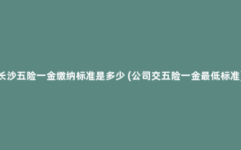 长沙五险一金缴纳标准是多少 (公司交五险一金最低标准)