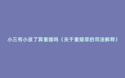 小三有小孩了算重婚吗（关于重婚罪的司法解释）