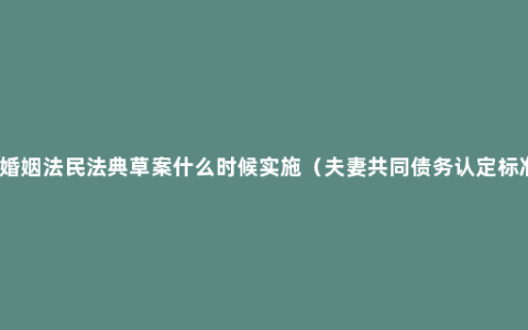 新婚姻法民法典草案什么时候实施（夫妻共同债务认定标准）