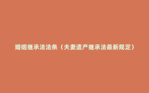 婚姻继承法法条（夫妻遗产继承法最新规定）
