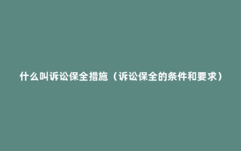 什么叫诉讼保全措施（诉讼保全的条件和要求）