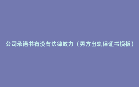 公司承诺书有没有法律效力（男方出轨保证书模板）