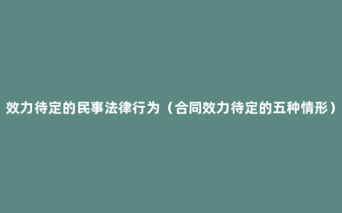 效力待定的民事法律行为（合同效力待定的五种情形）