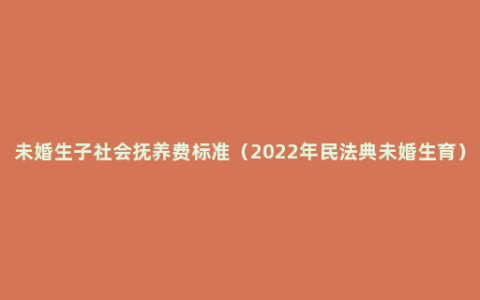 未婚生子社会抚养费标准（2022年民法典未婚生育）